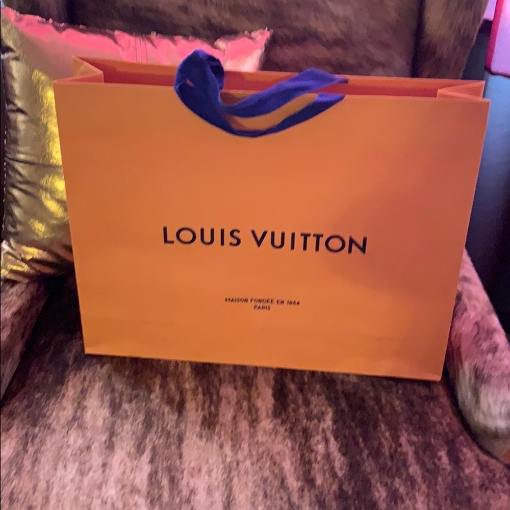 Louis Vuitton gift bag